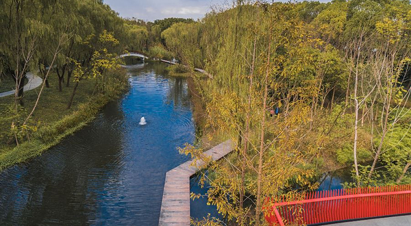 西南湖生态公园