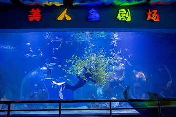 海昌海洋探索馆第 15 张图片