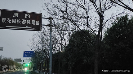唐韵樱花园第 2 张图片