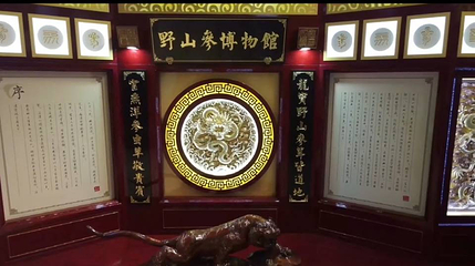 参中堂景区第 20 张图片