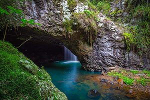 黄金海岸春溪国家公园