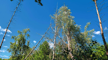 圭峰山国家森林公园