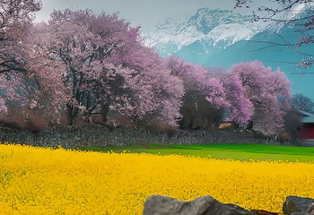 林芝桃花园第 1 张图片