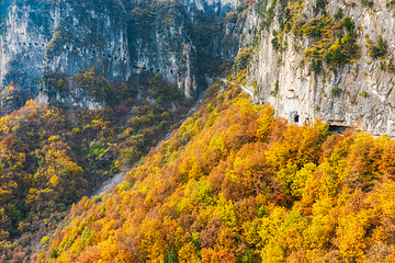 王莽岭风景区第 42 张图片