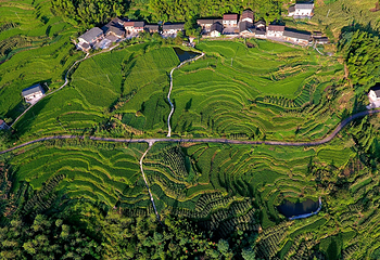 四面山第 38 张图片
