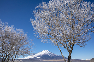 富士山第 51 张图片