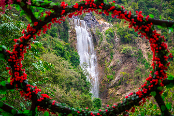 清远笔架山旅游度假区第 47 张图片