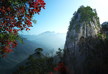 秦岭天竺山生态文化旅游景区第 54 张图片