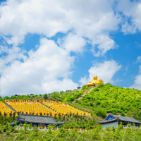 桃源圣地