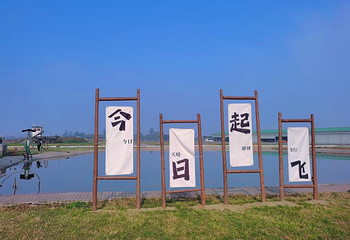 洛带机场川飞通航第 3 张图片