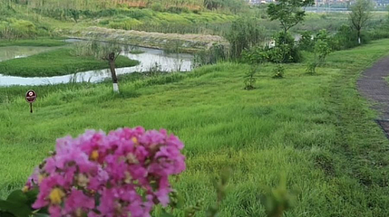 紫龙湖湿地公园第 1 张图片