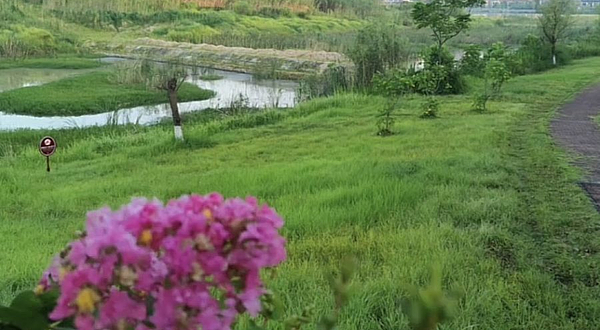 紫龙湖湿地公园