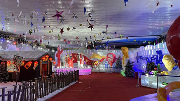 【邯郸】广府冰雕荷花展