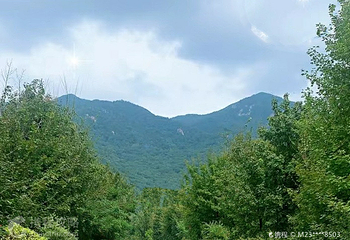 岗山国家森林公园第 3 张图片