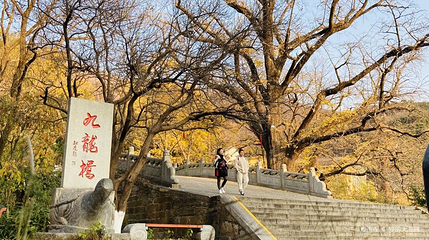 连云港花果山风景区-九龙桥第 1 张图片