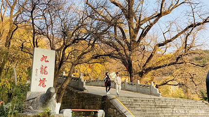 连云港花果山风景区-九龙桥第 4 张图片