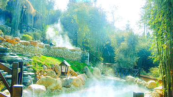 崇阳浪口森林温泉