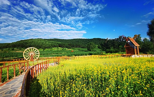 生态农业观光园