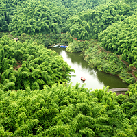 沐川竹海旅游景区