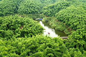 沐川竹海旅游景区