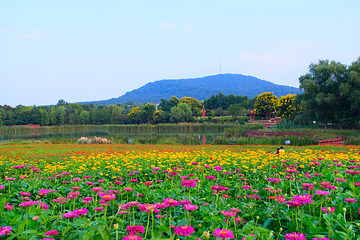 大蜀山国家森林公园第 4 张图片