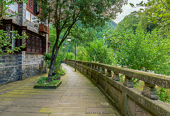 青城后山第 20 张图片