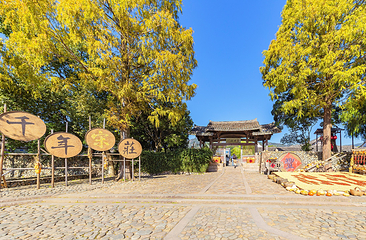 楠溪江风景旅游区第 60 张图片