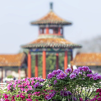 曹州百花园