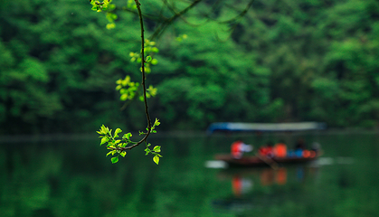莲花湖第 8 张图片