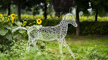 大兴瀛海油菜花景区