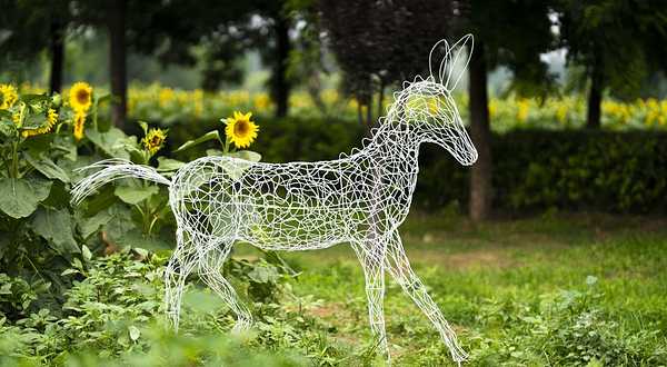 大兴瀛海油菜花景区