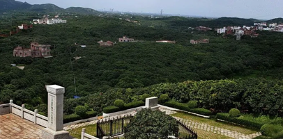 根子荔枝旅游区