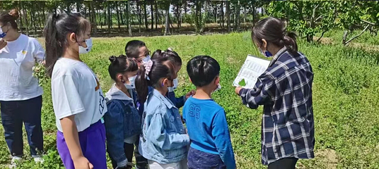 朝阳农场·度林间·城市营地第 10 张图片