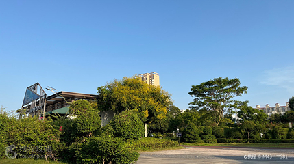 北海市花公园第 2 张图片