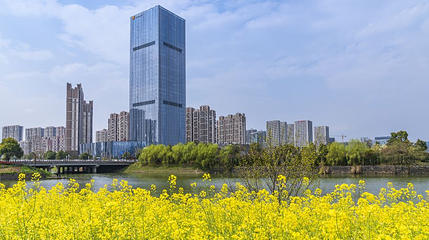 青山湖科技城第 1 张图片