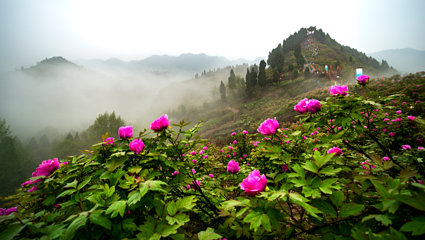 恺之峰旅游区第 46 张图片