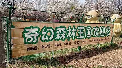 奇幻森林王国第 2 张图片