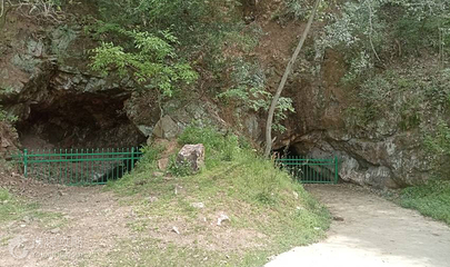 大巩山森林公园第 2 张图片