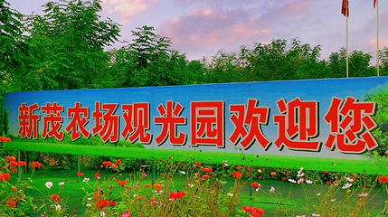 大荔新茂农场观光园第 1 张图片
