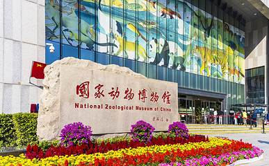 国家动物博物馆第 1 张图片