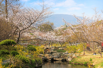 中山陵景区第 10 张图片