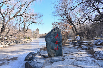 北京大学-未名湖第 7 张图片
