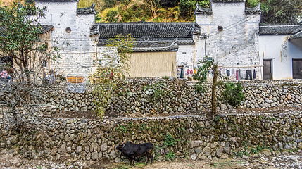 山下鲍村第 4 张图片