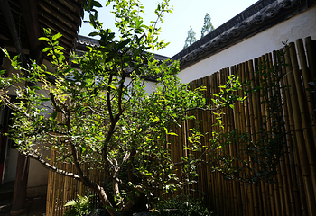平湖风颂第 20 张图片