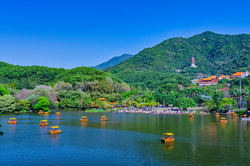 仙湖植物园第 7 张图片