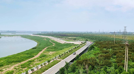 元氏槐河湿地第 1 张图片
