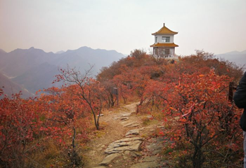 北京药王谷风景区第 55 张图片