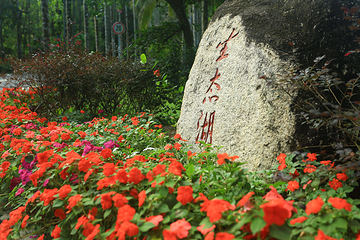 兴隆热带植物园第 53 张图片