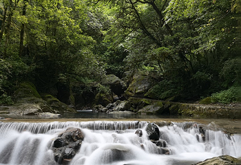西岭雪山大飞水风景区第 10 张图片