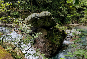 西岭雪山大飞水风景区第 45 张图片